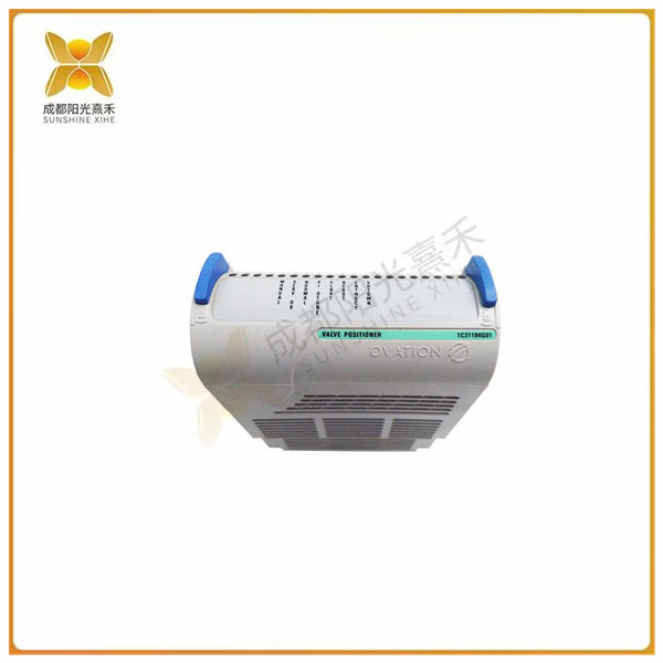 1C31194G01
