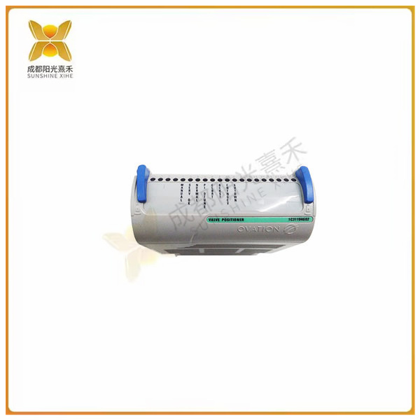 1C31194G02
